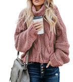 Clemence Luce - Women's Sweater with High Neck Style and Warmth